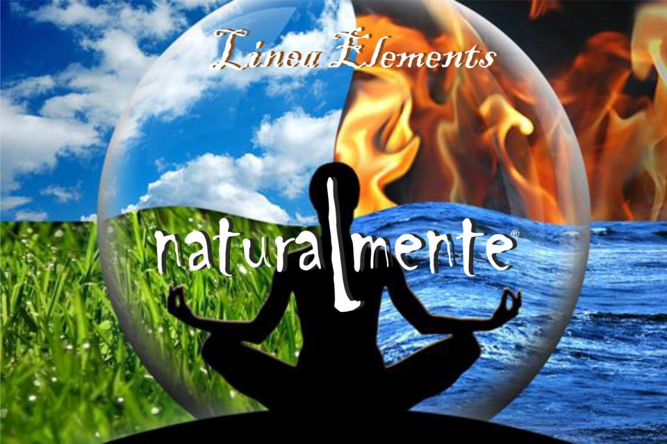 AYURVEDA CAPILAR AYURVEDA CAPILAR