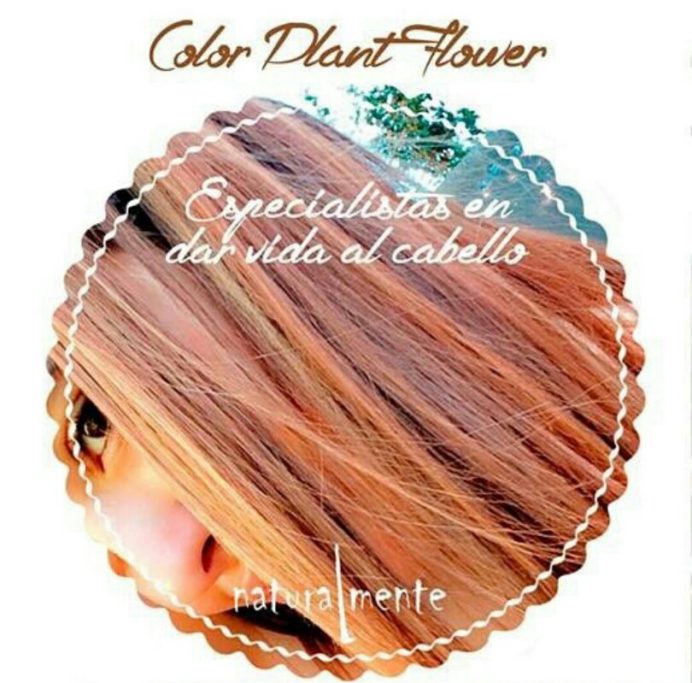 ECO / PROTECCION CAPILAR ECO / PROTECCION CAPILAR
