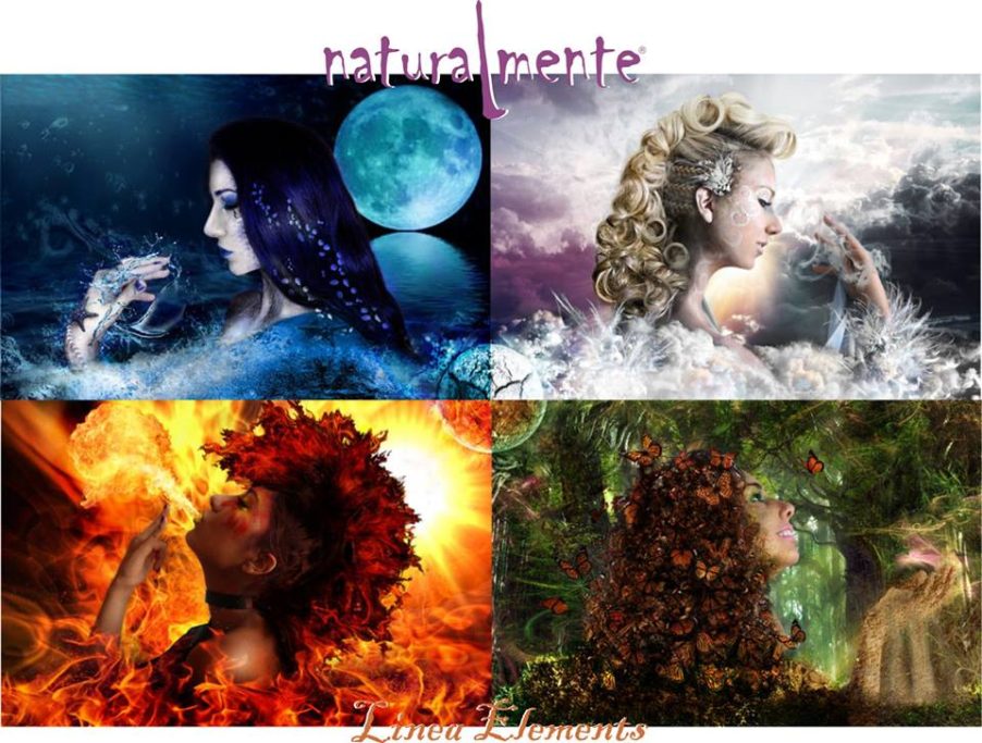 LOS CICLOS DE LA NATURALEZA Y EL CABELLO LOS CICLOS DE LA NATURALEZA Y EL CABELLO